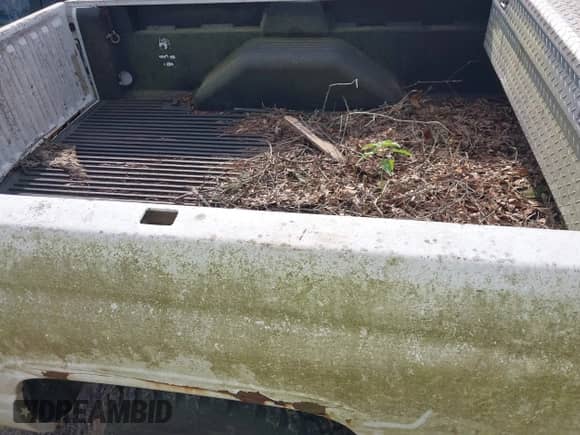 2001 Dodge 1500 with VIN 1B7HC16ZX1S179093, listed as a IAAI auction lot 42422009 with Not provided miles and . Bid and sale history available at DreamBid. Image 6.