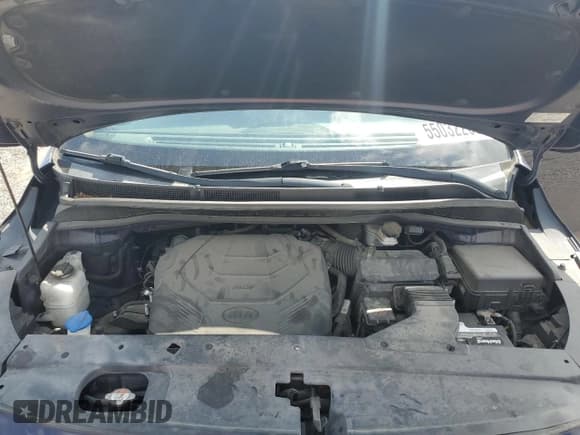 ✅ 2020 Kia Sedona EX • VIN: KNDMC5C19L6597855 • Lot: 55032205. Wystawiony na Copart z przebiegiem 87 498 mil. Bezpłatny archiwum sprzedaży aukcyjnych z USA i szczegółowy raport historii pojazdu na DreamBid. Zdjęcie 12.