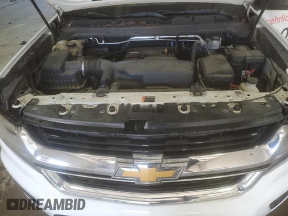 ✅ 2019 Chevrolet Colorado 2WD Work Truck • VIN: 1GCHSBEA1K1246921 • Lot: 91872955. Wystawiony na Copart z przebiegiem 177 181 mil. Bezpłatny archiwum sprzedaży aukcyjnych z USA i szczegółowy raport historii pojazdu na DreamBid. Zdjęcie 11.