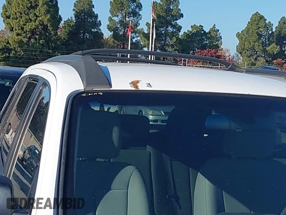 ✅ 2010 Hyundai Santa Fe GLS • VIN: 5NMSG3AB1AH397905 • Лот: 43839903. Опубликован ранее на IAAI с пробегом 159 578 миль. Бесплатный доступ к архиву аукционных продаж из США и подробный отчёт об истории автомобиля на DreamBid. Изображение 12.