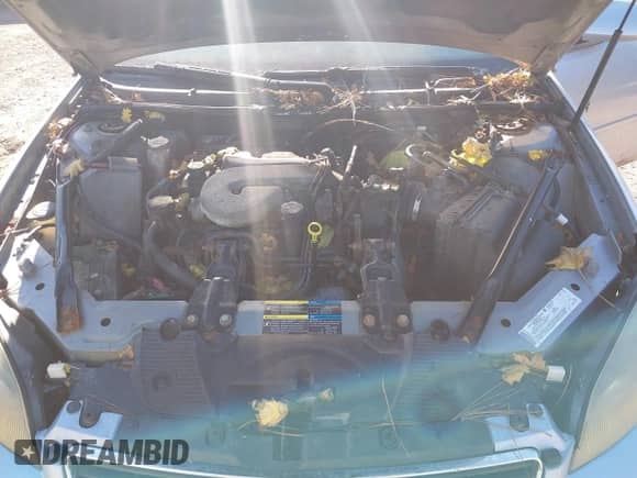 2006 Chevrolet Impala LTZ z VIN 2G1WU581069335856, wystawiony jako IAAI lot #43554562 z przebiegiem 195 423 mil mil oraz . Historia ofert i sprzedaży dostępna na DreamBid. Obrazek 10.