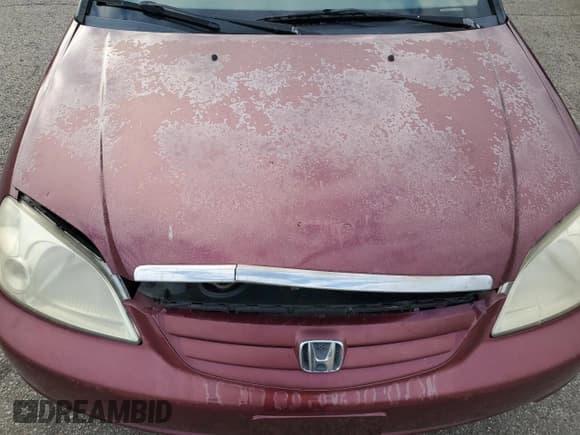 ✅ 2002 Honda Civic EX • VIN: 2HGES25702H604441 • Lot: 69790825. Wystawiony na Copart z przebiegiem 211 343 mil. Bezpłatny archiwum sprzedaży aukcyjnych z USA i szczegółowy raport historii pojazdu na DreamBid. Zdjęcie 11.