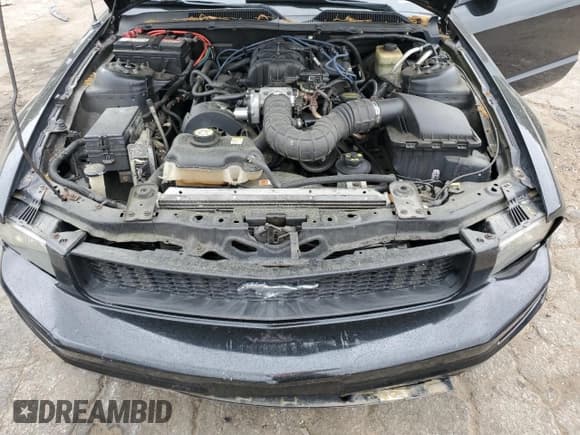 ✅ 2005 Ford Mustang Deluxe • VIN: 1ZVFT80N455162085 • Lot: 53783965. Listed on Copart with 134,371 mi. Free auction sales archive from the USA and detailed vehicle history report at DreamBid. Image 11.