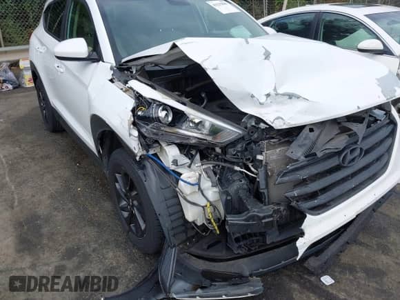 2017 Hyundai Tucson SE with VIN KM8J23A41HU505773, listed as a IAAI auction lot 43231809 with 98,825 mi miles and . Bid and sale history available at DreamBid. Image 17.