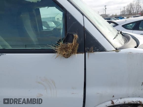 ✅ 2010 Chevrolet Express Cargo • VIN: 1GCUGADX6A1154119 • Lot: 41608254. Listed on IAAI with 156,816 mi. Free auction sales archive from the USA and detailed vehicle history report at DreamBid. Image 18.