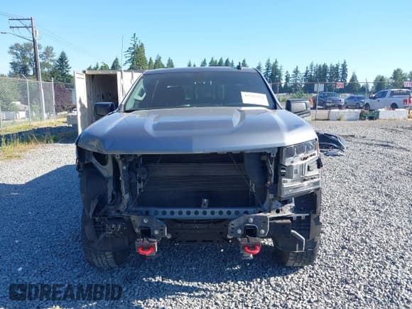 ✅ 2019 Chevrolet Silverado 1500 LT Trail Boss • VIN: 3GCPYFEDXKG202543 • Lot: 42712292. Wystawiony na IAAI z przebiegiem 125 697 mil. Bezpłatny archiwum sprzedaży aukcyjnych z USA i szczegółowy raport historii pojazdu na DreamBid. Zdjęcie 13.