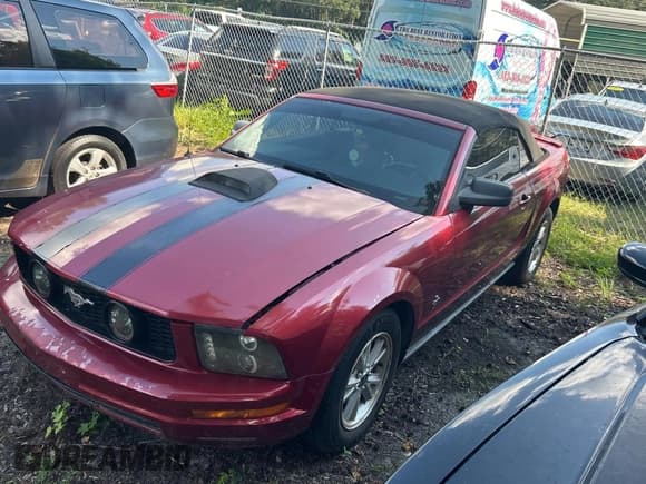 ✅ 2007 Ford Mustang Deluxe • VIN: 1ZVFT84N575262497 • Lot: 70959905. Listed on Copart with 157,957 mi. Free auction sales archive from the USA and detailed vehicle history report at DreamBid. Image 2.