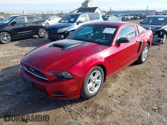✅ 2014 Ford Mustang V6 • VIN: 1ZVBP8AM7E5311338 • Лот: 43569551. Опубликован ранее на IAAI с пробегом 156 116 миль. Бесплатный доступ к архиву аукционных продаж из США и подробный отчёт об истории автомобиля на DreamBid. Изображение 2.
