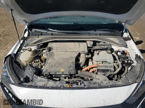 ✅ 2017 Hyundai Ioniq SEL • VIN: KMHC75LC2HU030256 • Lot: 81768915. Wystawiony na Copart z przebiegiem 122 843 mil. Bezpłatny archiwum sprzedaży aukcyjnych z USA i szczegółowy raport historii pojazdu na DreamBid. Zdjęcie 11.