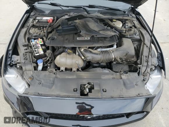 ✅ 2022 Ford Mustang GT Premium • VIN: 1FA6P8CF7N5130913 • Lot: 86729145. Listed on Copart with 41,523 mi. Free auction sales archive from the USA and detailed vehicle history report at DreamBid. Image 11.