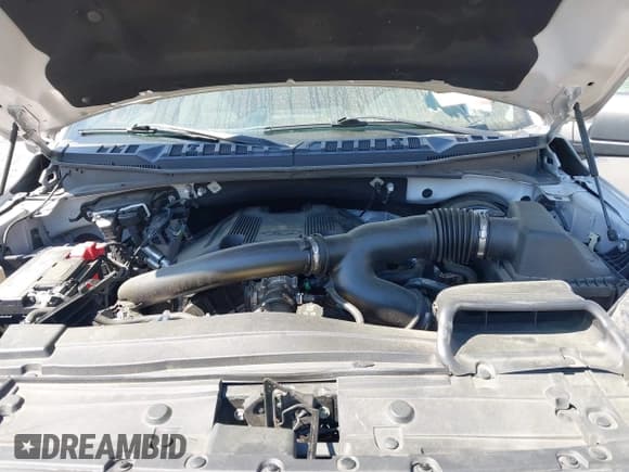 ✅ 2019 Ford F-150 XL • VIN: 1FTEW1C48KFC75687 • Lot: 41908255. Wystawiony na IAAI z przebiegiem 79 932 mil. Bezpłatny archiwum sprzedaży aukcyjnych z USA i szczegółowy raport historii pojazdu na DreamBid. Zdjęcie 10.