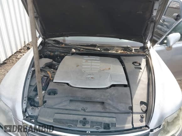 ✅ 2008 Lexus LS 460 • VIN: JTHBL46F985061458 • Лот: 41716582. Опубликован ранее на IAAI с пробегом 87 100 миль. Бесплатный доступ к архиву аукционных продаж из США и подробный отчёт об истории автомобиля на DreamBid. Изображение 10.