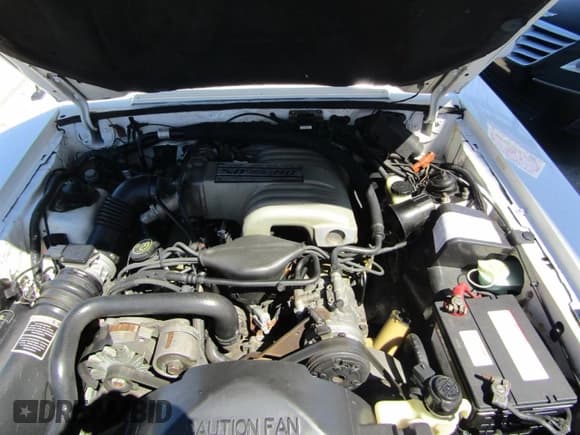 ✅ 1993 Ford Mustang LX • VIN: 1FACP44E8PF1388XX • Lot: 70848345. Wystawiony na Copart z przebiegiem 73 784 mil. Bezpłatny archiwum sprzedaży aukcyjnych z USA i szczegółowy raport historii pojazdu na DreamBid. Zdjęcie 7.