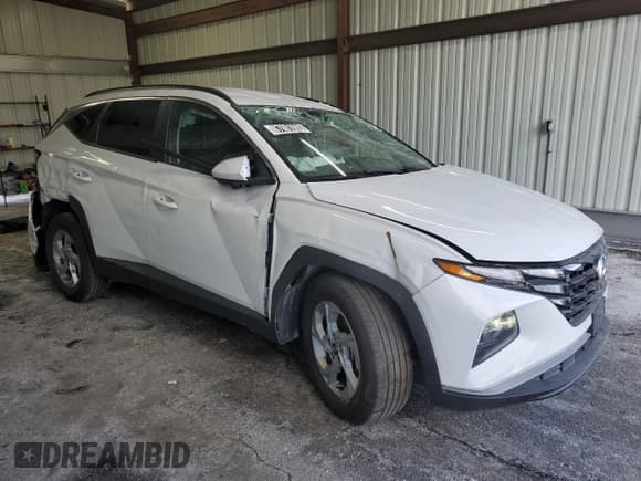 ✅ 2024 Hyundai Tucson SEL • VIN: 5NMJBCDEXRH398370 • Lot: 87601605. Wystawiony na Copart z przebiegiem 11 932 mil. Bezpłatny archiwum sprzedaży aukcyjnych z USA i szczegółowy raport historii pojazdu na DreamBid. Zdjęcie 4.