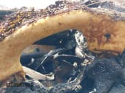 ✅ 2015 Nissan Pathfinder Platinum • VIN: 5N1AR2MM8FC720510 • Lot: 42850270. Listed on IAAI with Not provided. Free auction sales archive from the USA and detailed vehicle history report at DreamBid. Image 7.