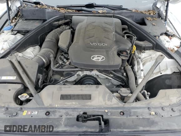 ✅ 2015 Hyundai Genesis 3.8L • VIN: KMHGN4JE4FU035980 • Lot: 44334975. Wystawiony na Copart z przebiegiem 103 840 mil. Bezpłatny archiwum sprzedaży aukcyjnych z USA i szczegółowy raport historii pojazdu na DreamBid. Zdjęcie 12.