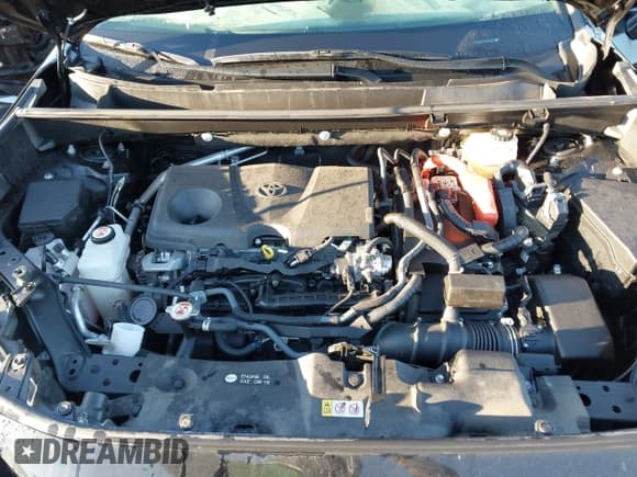 ✅ 2024 Toyota RAV4 Hybrid XLE • VIN: JTMRWRFV9RD214438 • Lot: 43559646. Listed on IAAI with 14,081 mi. Free auction sales archive from the USA and detailed vehicle history report at DreamBid. Image 10.