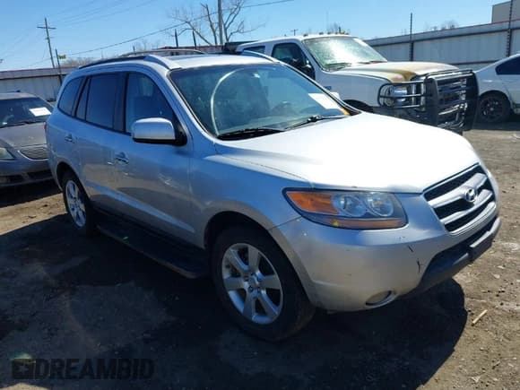 ✅ 2009 Hyundai Santa Fe SE • VIN: 5NMSH13E19H254585 • Lot: 41670314. Listed on IAAI with 195,240 mi. Free auction sales archive from the USA and detailed vehicle history report at DreamBid. Image 1.