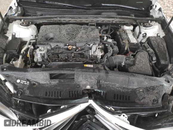 ✅ 2021 Toyota Avalon • VIN: 4T1MB1BB9MU001531 • Lot: 62592145. Wystawiony na Copart z przebiegiem 90 936 mil. Bezpłatny archiwum sprzedaży aukcyjnych z USA i szczegółowy raport historii pojazdu na DreamBid. Zdjęcie 11.