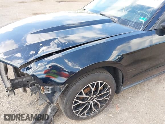 ✅ 2012 Ford Mustang V6 • VIN: 1ZVBP8EM2C5205421 • Лот: 39669657. Опубликован ранее на IAAI с пробегом 214 320 миль. Бесплатный доступ к архиву аукционных продаж из США и подробный отчёт об истории автомобиля на DreamBid. Изображение 12.