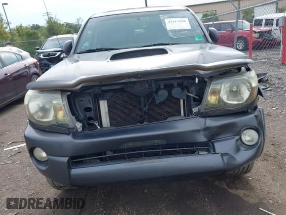✅ 2009 Toyota Tacoma PreRunner • VIN: 3TMKU72N29M019402 • Lot: 43317826. Wystawiony na IAAI z przebiegiem 253 532 mil. Bezpłatny archiwum sprzedaży aukcyjnych z USA i szczegółowy raport historii pojazdu na DreamBid. Zdjęcie 6.