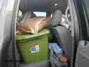 2008 Dodge 1500 SLT z VIN 1D7HA18238S558880, wystawiony jako Copart lot #75567604 z przebiegiem 105 572 mil mil oraz Szkoda całkowita • Salvage title. Historia ofert i sprzedaży dostępna na DreamBid. Obrazek 10.