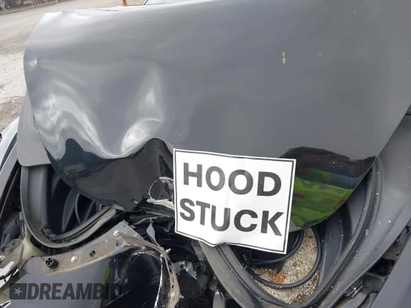 ✅ 2020 Tesla Model 3 Standard Range Plus • VIN: 5YJ3E1EA9LF808777 • Лот: 43362956. Опубликован ранее на IAAI с пробегом 36 383 миль. Бесплатный доступ к архиву аукционных продаж из США и подробный отчёт об истории автомобиля на DreamBid. Изображение 10.