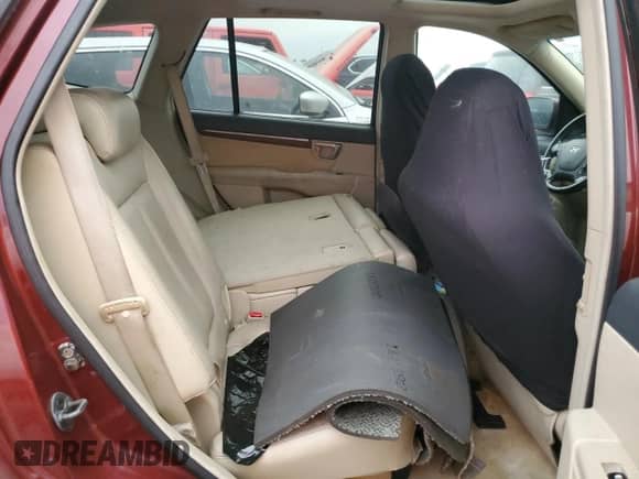 2007 Hyundai Santa Fe SE с VIN 5NMSH13E17H108801, выставлен на аукционе Copart как лот 76824564 с пробегом Не указан миль и Списание • Salvage title. История ставок и продаж доступна на DreamBid. Изображение 11.