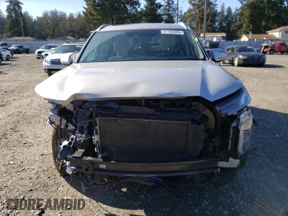 ✅ 2022 Hyundai Palisade SEL • VIN: KM8R4DHE6NU410705 • Лот: 47105965. Опубликован ранее на Copart с пробегом 38 391 миль. Бесплатный доступ к архиву аукционных продаж из США и подробный отчёт об истории автомобиля на DreamBid. Изображение 5.