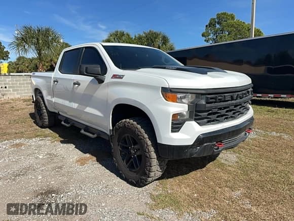 ✅ 2022 Chevrolet Silverado 1500 Custom Trail Boss • VIN: 3GCUDCET0NG553356 • Лот: 92641155. Опубликован ранее на Copart с пробегом 134 759 миль. Бесплатный доступ к архиву аукционных продаж из США и подробный отчёт об истории автомобиля на DreamBid. Изображение 1.