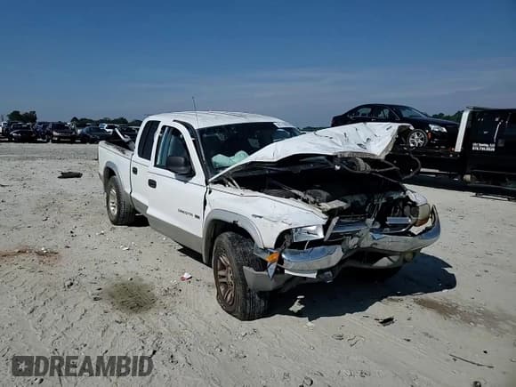 ✅ 2001 Dodge Dakota Sport • VIN: 1B7GG2AN31S213661 • Lot: 81710275. Wystawiony na Copart z przebiegiem Nie podano. Bezpłatny archiwum sprzedaży aukcyjnych z USA i szczegółowy raport historii pojazdu na DreamBid. Zdjęcie 13.