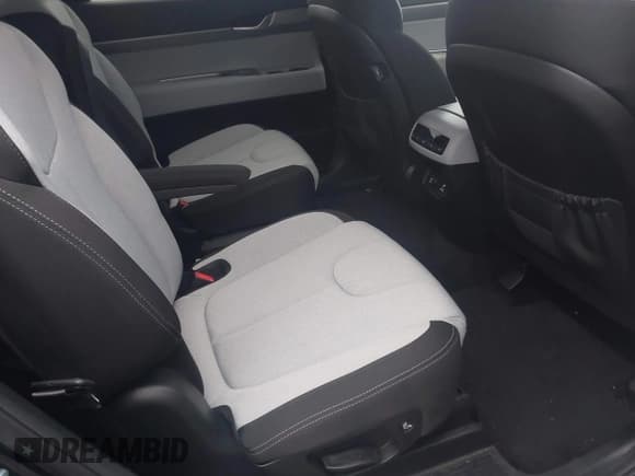 ✅ 2020 Hyundai Palisade SEL • VIN: KM8R3DHE7LU064289 • Lot: 43782386. Wystawiony na IAAI z przebiegiem 73 566 mil. Bezpłatny archiwum sprzedaży aukcyjnych z USA i szczegółowy raport historii pojazdu na DreamBid. Zdjęcie 8.