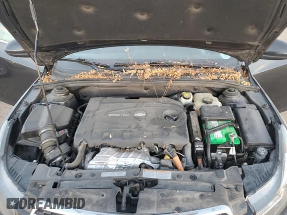 ✅ 2014 Chevrolet Cruze Diesel • VIN: 1G1P75SZ8E7100485 • Lot: 90370395. Listed on Copart with 133,458 mi. Free auction sales archive from the USA and detailed vehicle history report at DreamBid. Image 11.