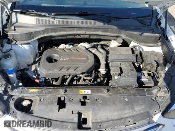 2017 Hyundai Santa Fe Ultimate with VIN 5NMZW4LA3HH041137, listed as a Copart auction lot 87483065 with 79,264 mi miles and Salvage title. Bid and sale history available at DreamBid. Image 12.