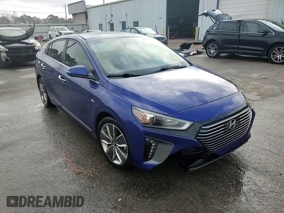 ✅ 2019 Hyundai Ioniq Limited • VIN: KMHC05LC4KU118060 • Lot: 42217195. Wystawiony na Copart z przebiegiem 166 145 mil. Bezpłatny archiwum sprzedaży aukcyjnych z USA i szczegółowy raport historii pojazdu na DreamBid. Zdjęcie 13.