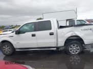 ✅ 2012 Ford F-150 FX4 • VIN: 1FTFW1ETXCFB02697 • Lot: 43456956. Listed on IAAI with 198,501 mi. Free auction sales archive from the USA and detailed vehicle history report at DreamBid. Image 14.