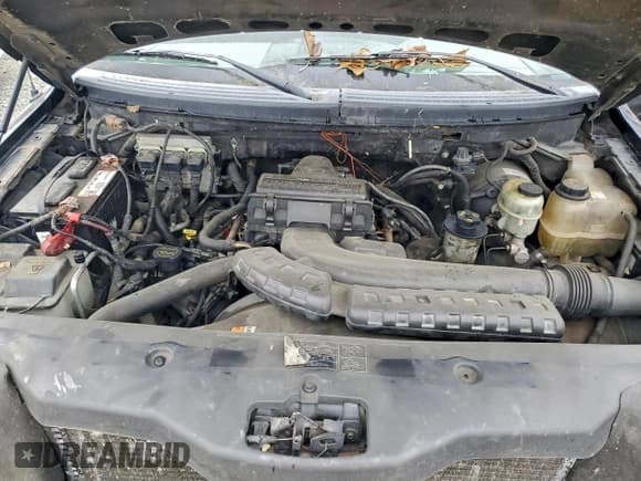 ✅ 2005 Ford F-150 XLT • VIN: 1FTPW14545KE67572 • Лот: 95776155. Опубликован ранее на Copart с пробегом 238 813 миль. Бесплатный доступ к архиву аукционных продаж из США и подробный отчёт об истории автомобиля на DreamBid. Изображение 11.