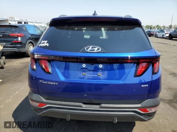 ✅ 2024 Hyundai Tucson SEL • VIN: 5NMJBCDEXRH304455 • Lot: 64764654. Wystawiony na Copart z przebiegiem 9 732 mil. Bezpłatny archiwum sprzedaży aukcyjnych z USA i szczegółowy raport historii pojazdu na DreamBid. Zdjęcie 6.