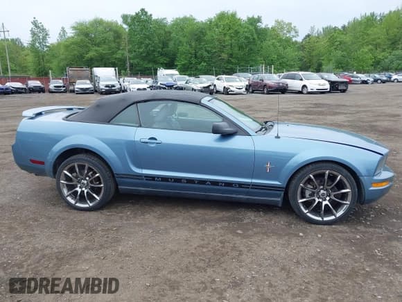✅ 2006 Ford Mustang Standard • VIN: 1ZVHT84N765220050 • Lot: 42231993. Listed on IAAI with 123,880 mi. Free auction sales archive from the USA and detailed vehicle history report at DreamBid. Image 13.