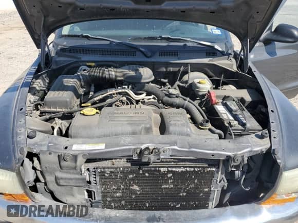 2003 Dodge Dakota SLT z VIN 1D7HL48X03S114761, wystawiony jako Copart lot #52323405 z przebiegiem 137 105 mil mil oraz Szkoda całkowita • Salvage title. Historia ofert i sprzedaży dostępna na DreamBid. Obrazek 11.