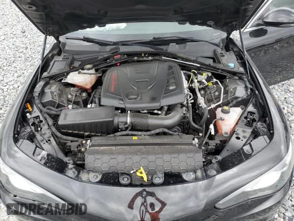 ✅ 2021 Alfa Romeo Giulia • VIN: ZARFAMAN1M7640620 • Lot: 81029865. Listed on Copart with Not provided. Free auction sales archive from the USA and detailed vehicle history report at DreamBid. Image 11.