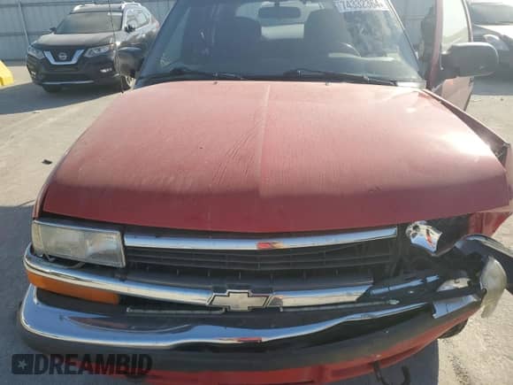 1999 Chevrolet Blazer LS z VIN 1GNDT13WXX2244937, wystawiony jako Copart lot #74332364 z przebiegiem Nie podano mil oraz Szkoda całkowita • Salvage title. Historia ofert i sprzedaży dostępna na DreamBid. Obrazek 13.