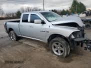 ✅ 2009 Dodge 1500 SLT • VIN: 1D3HV18T39S763261 • Lot: 87483564. Wystawiony na Copart z przebiegiem Nie podano. Bezpłatny archiwum sprzedaży aukcyjnych z USA i szczegółowy raport historii pojazdu na DreamBid. Zdjęcie 4.