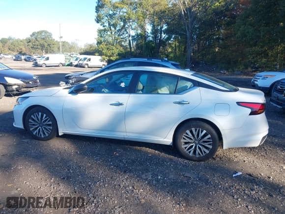 ✅ 2024 Nissan Altima SV • VIN: 1N4BL4DV1RN315618 • Lot: 43447210. Listed on IAAI with 20,283 mi. Free auction sales archive from the USA and detailed vehicle history report at DreamBid. Image 14.