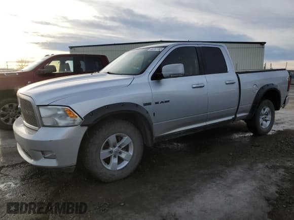 ✅ 2010 Dodge 1500 Laramie • VIN: 1D7RV1GT0AS174032 • Lot: 88287785. Wystawiony na Copart z przebiegiem 315 160 mil. Bezpłatny archiwum sprzedaży aukcyjnych z USA i szczegółowy raport historii pojazdu na DreamBid. Zdjęcie 1.