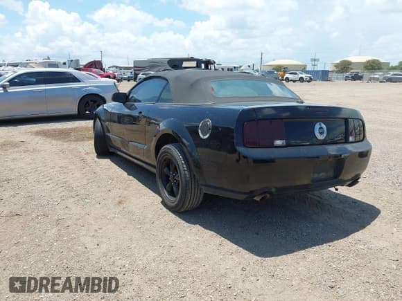 ✅ 2007 Ford Mustang GT Deluxe • VIN: 1ZVFT85H875254094 • Lot: 42593468. Wystawiony na IAAI z przebiegiem 126 596 mil. Bezpłatny archiwum sprzedaży aukcyjnych z USA i szczegółowy raport historii pojazdu na DreamBid. Zdjęcie 3.