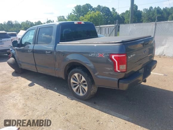 ✅ 2017 Ford F-150 XL • VIN: 1FTEW1CP0HFB62268 • Lot: 42651359. Listed on IAAI with 161,596 mi. Free auction sales archive from the USA and detailed vehicle history report at DreamBid. Image 3.