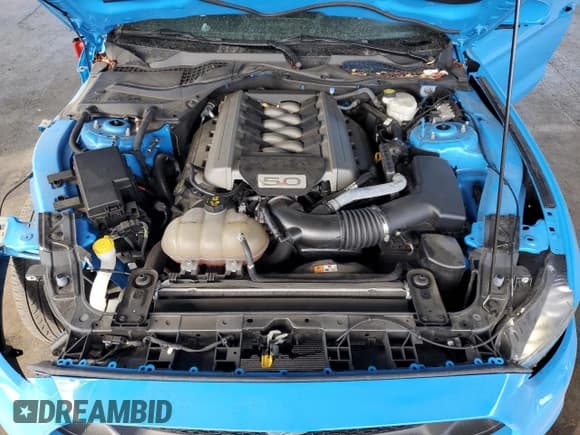 ✅ 2017 Ford Mustang GT • VIN: 1FA6P8CF3H5292090 • Lot: 81870815. Listed on Copart with 24,993 mi. Free auction sales archive from the USA and detailed vehicle history report at DreamBid. Image 11.