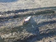 ✅ 2016 Honda Civic EX-L • VIN: 2HGFC3B70GH353455 • Лот: 86893345. Опубликован ранее на Copart с пробегом 64 350 миль. Бесплатный доступ к архиву аукционных продаж из США и подробный отчёт об истории автомобиля на DreamBid. Изображение 12.