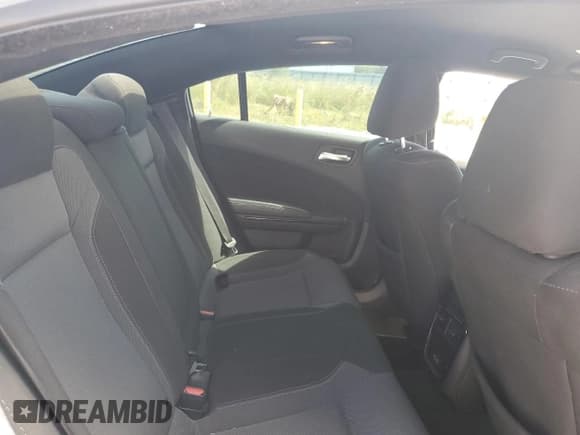 ✅ 2020 Dodge Charger SXT • VIN: 2C3CDXBG9LH195864 • Lot: 84933885. Wystawiony na Copart z przebiegiem 117 589 mil. Bezpłatny archiwum sprzedaży aukcyjnych z USA i szczegółowy raport historii pojazdu na DreamBid. Zdjęcie 10.